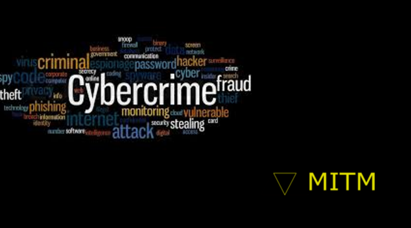 Cibercrimes – Um Crescimento Desenfreado e Preocupante
